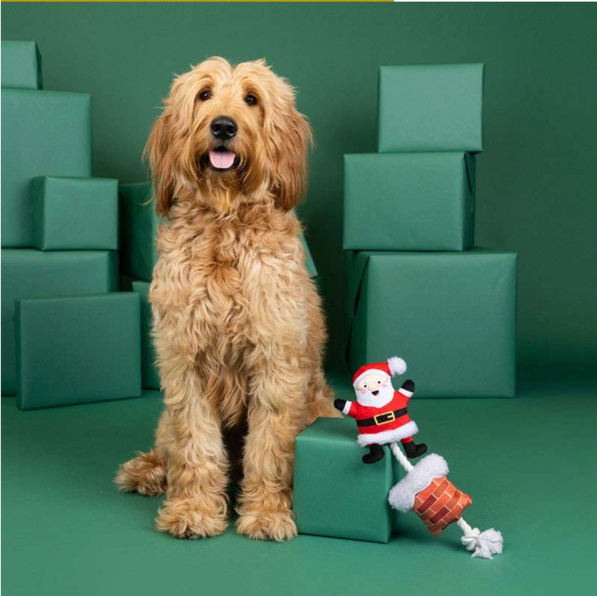 Fringe Studio Christmas Soots Me - Santa Chimney Tug Dog Toy
