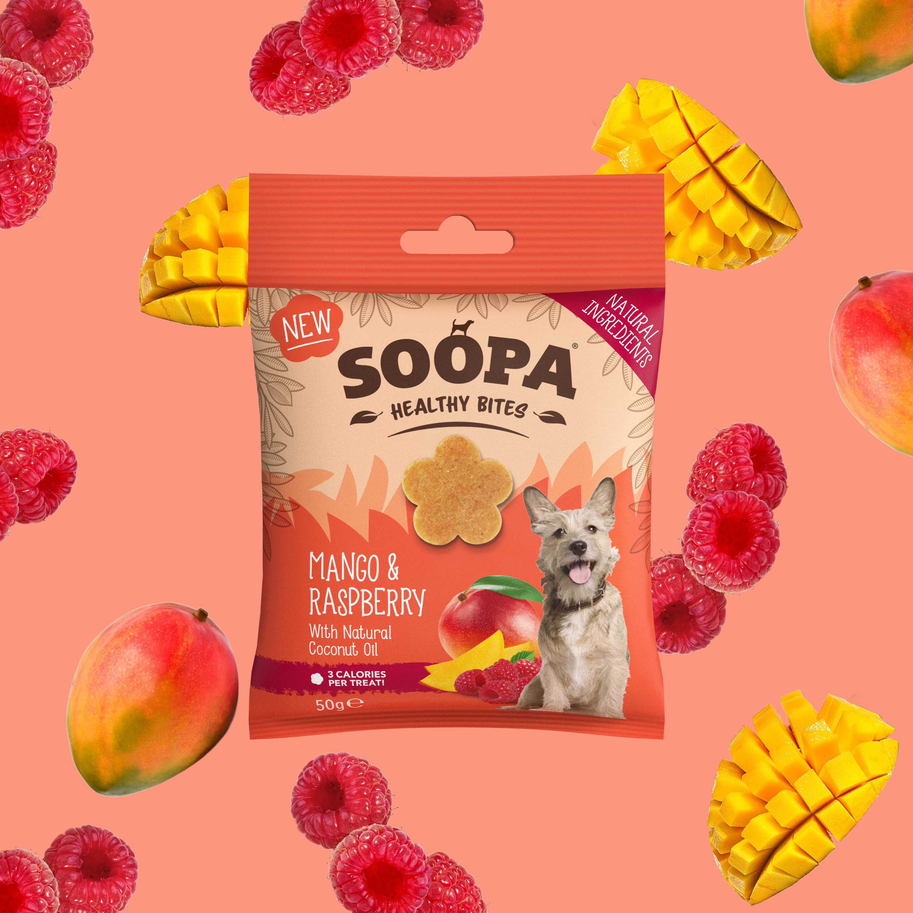 Natural Vegan Dog Healthy Bites - Mango &amp; Raspberry - Share Happy Outfits