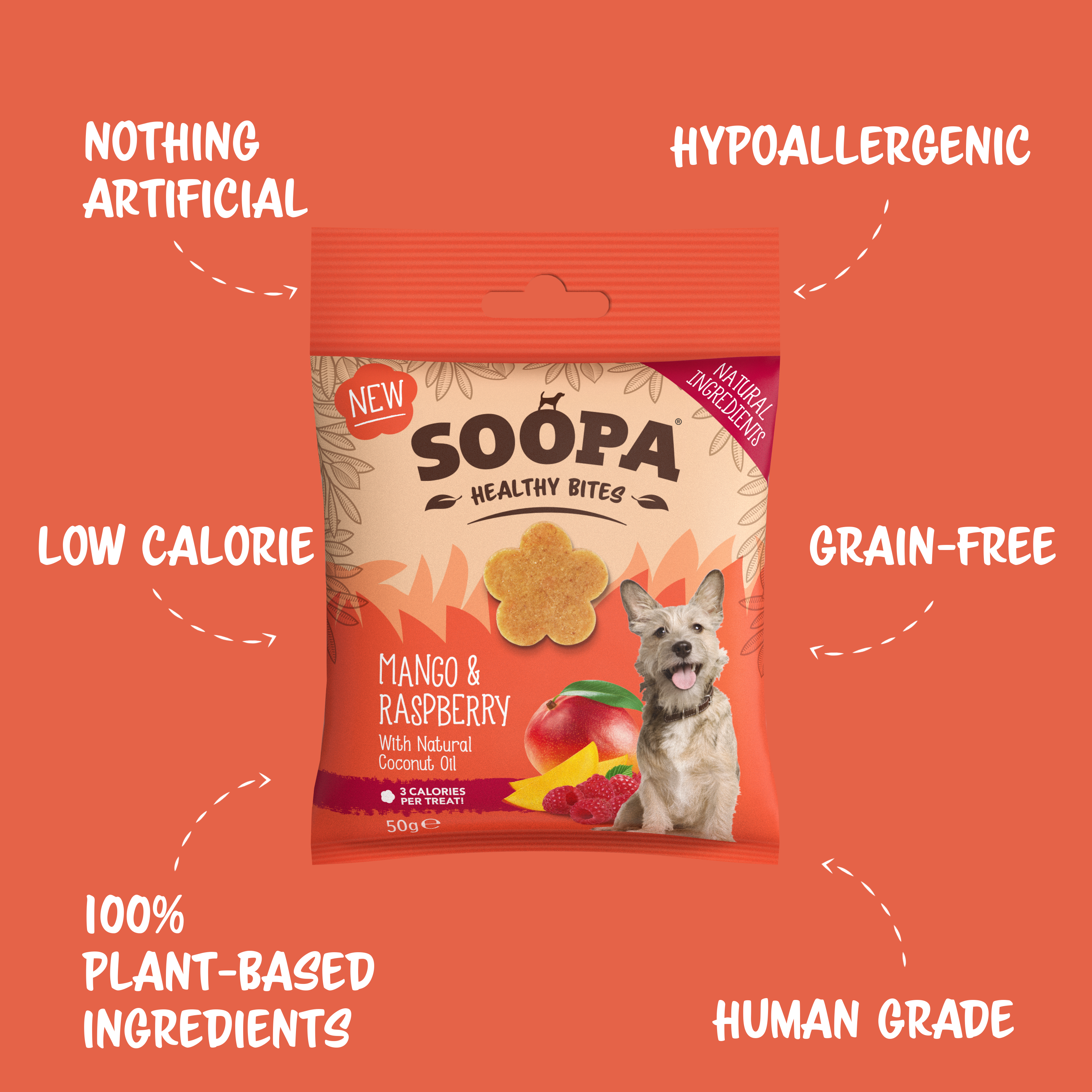 Natural Vegan Dog Healthy Bites - Mango &amp; Raspberry - Share Happy Outfits