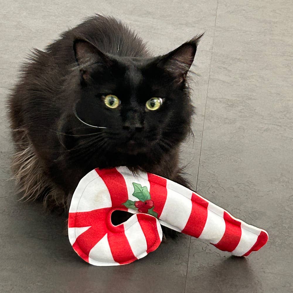 Black cat playing with a red and white striped candy cane toy on a gray floor.