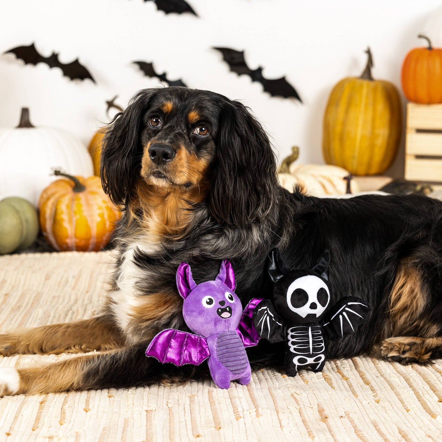 Fringe BAT TO THE BONE - Share Happy Outfits