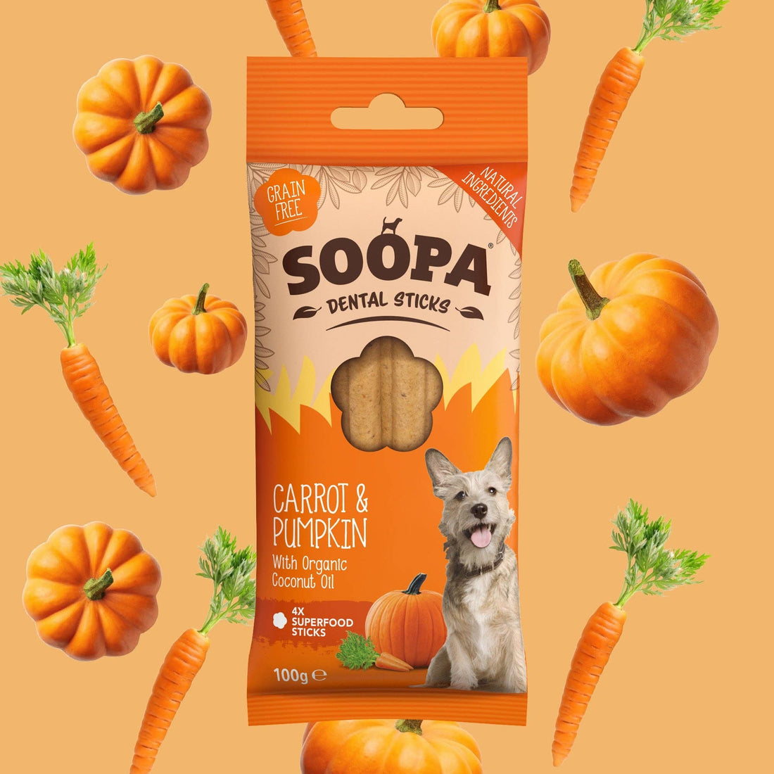 Natural Vegan Dog Dental Treat - Carrot &amp; Pumpkin Sticks - Share Happy Outfits
