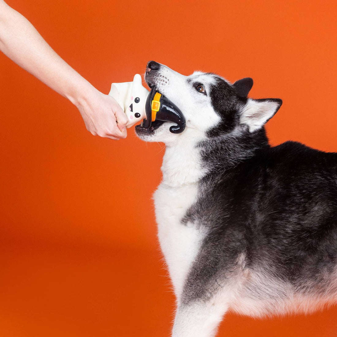 Fringe ONE WICKED GHOST LATEX DOG TOY - Share Happy Outfits