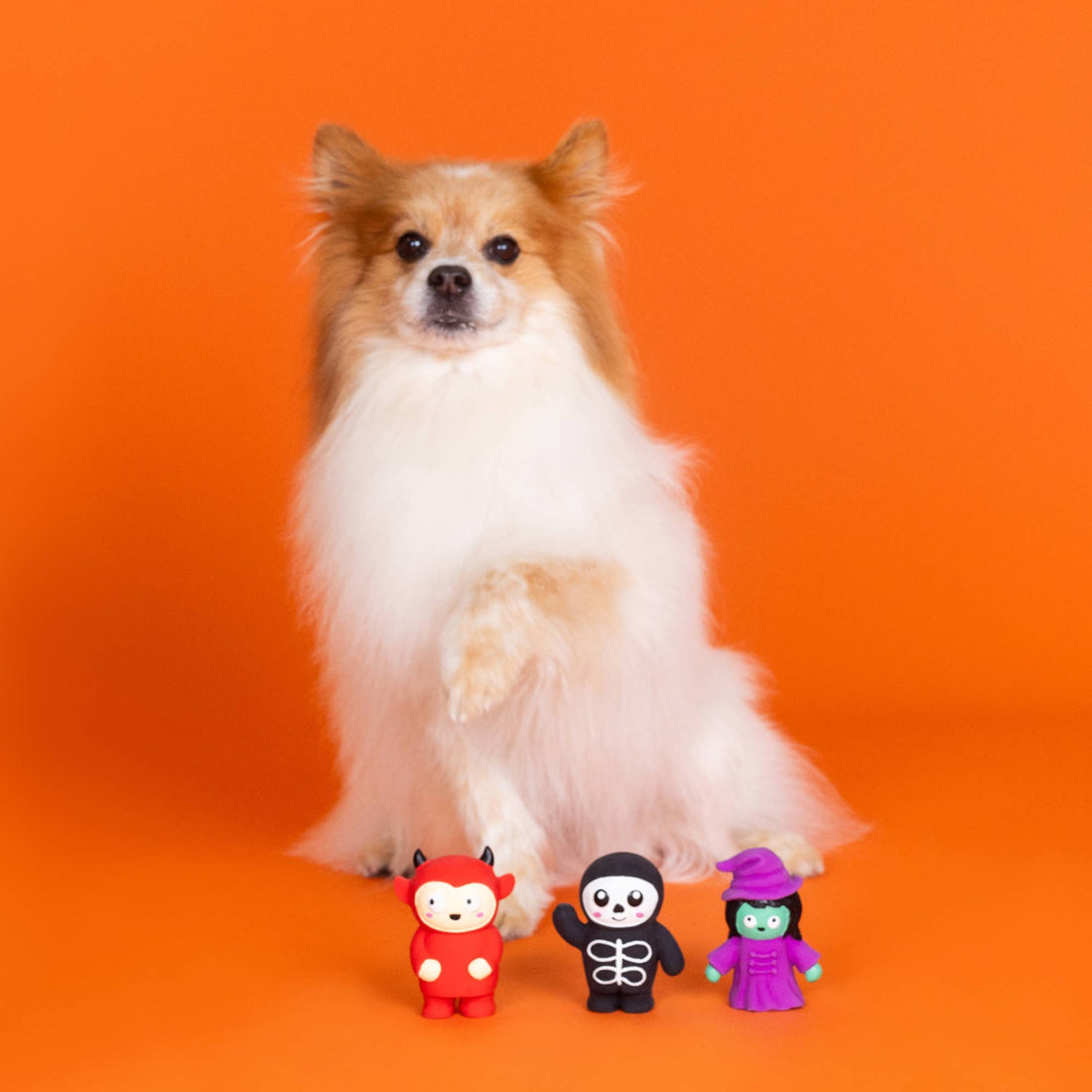 Fringe FRIGHT THIS WAY 3PC MINI LTX DOGTOY - Share Happy Outfits