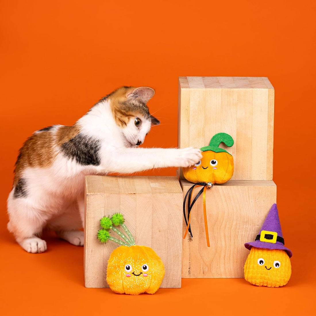 Witch Of The Patch – Cat Toy - Share Happy Outfits