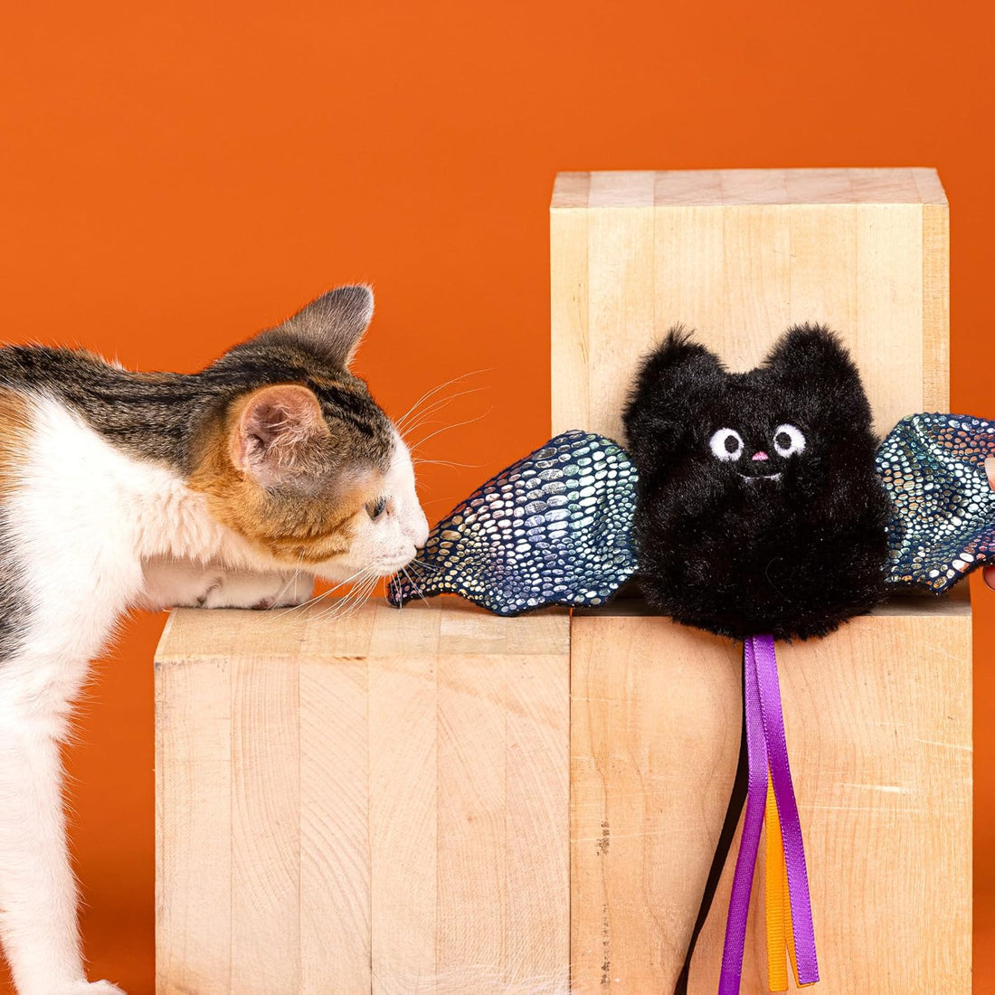 Cat interacting with a black cat-shaped toy on a wooden box against an orange background