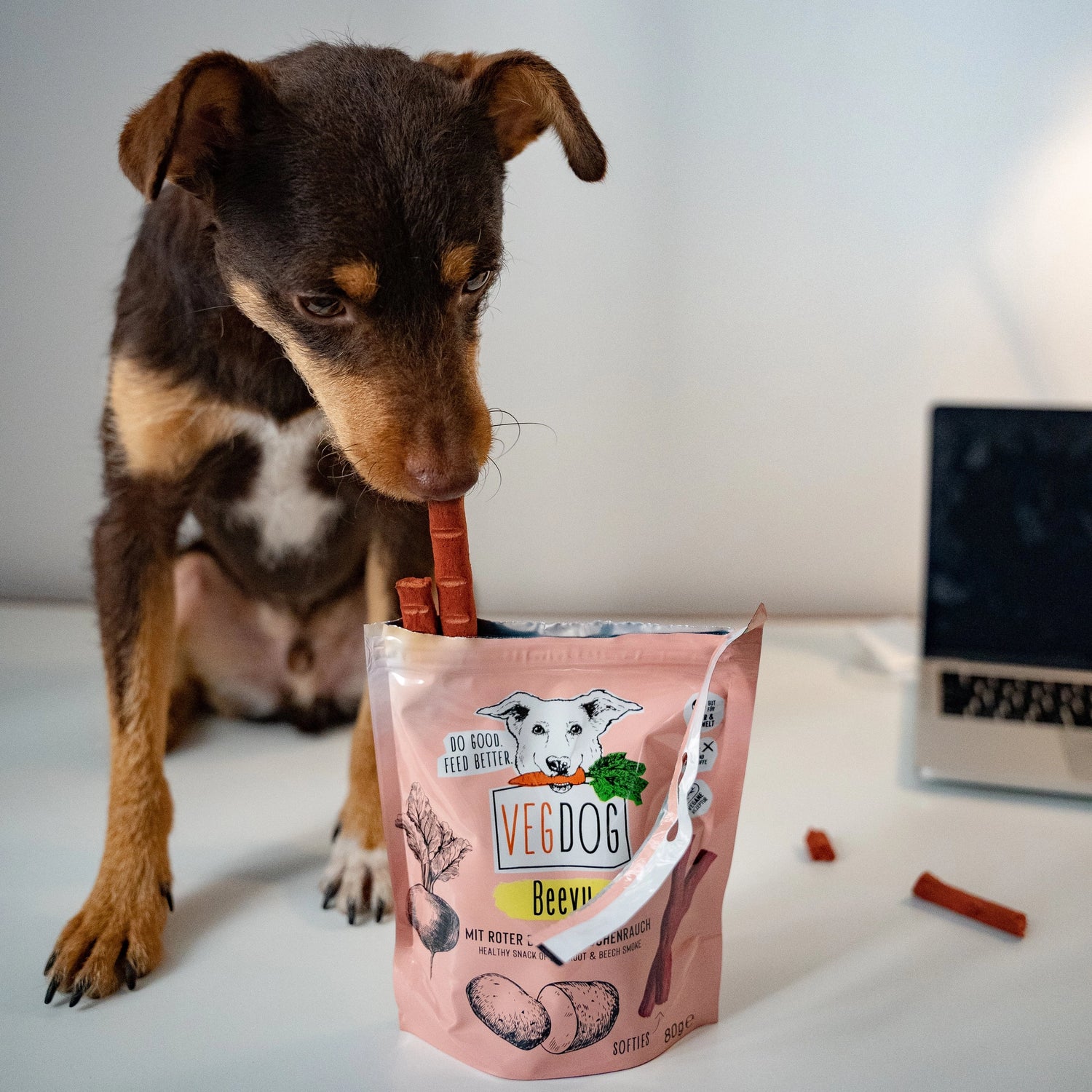 Beevys – Vegan Jackpot Treats for Dogs