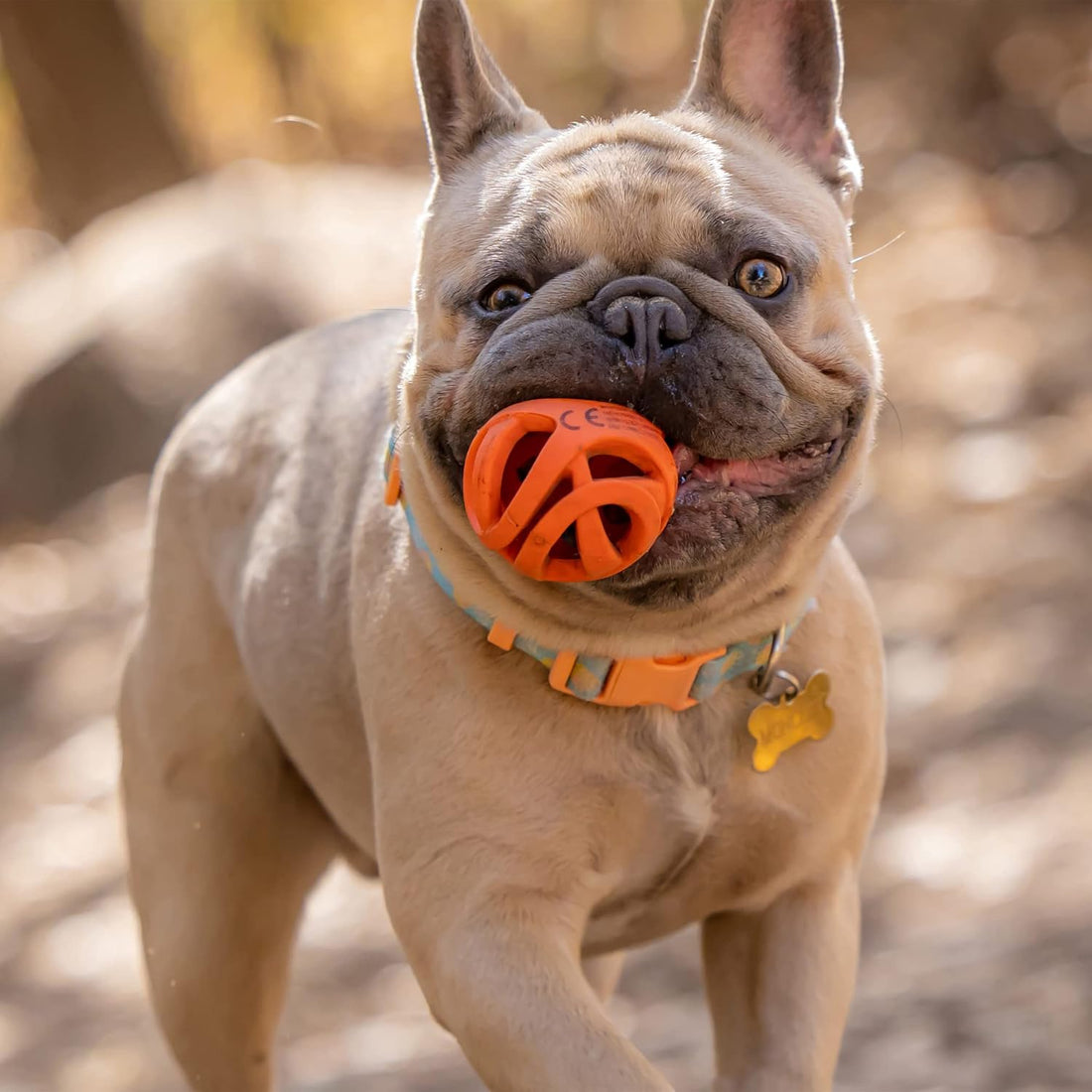 Chuckit! Breathe Right Fetch Ball – Durable Dog Fetch Toy