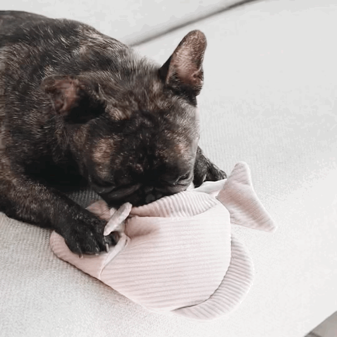 Angel Fish – 2-in-1 Burrow &amp; Snuffle Dog Toy