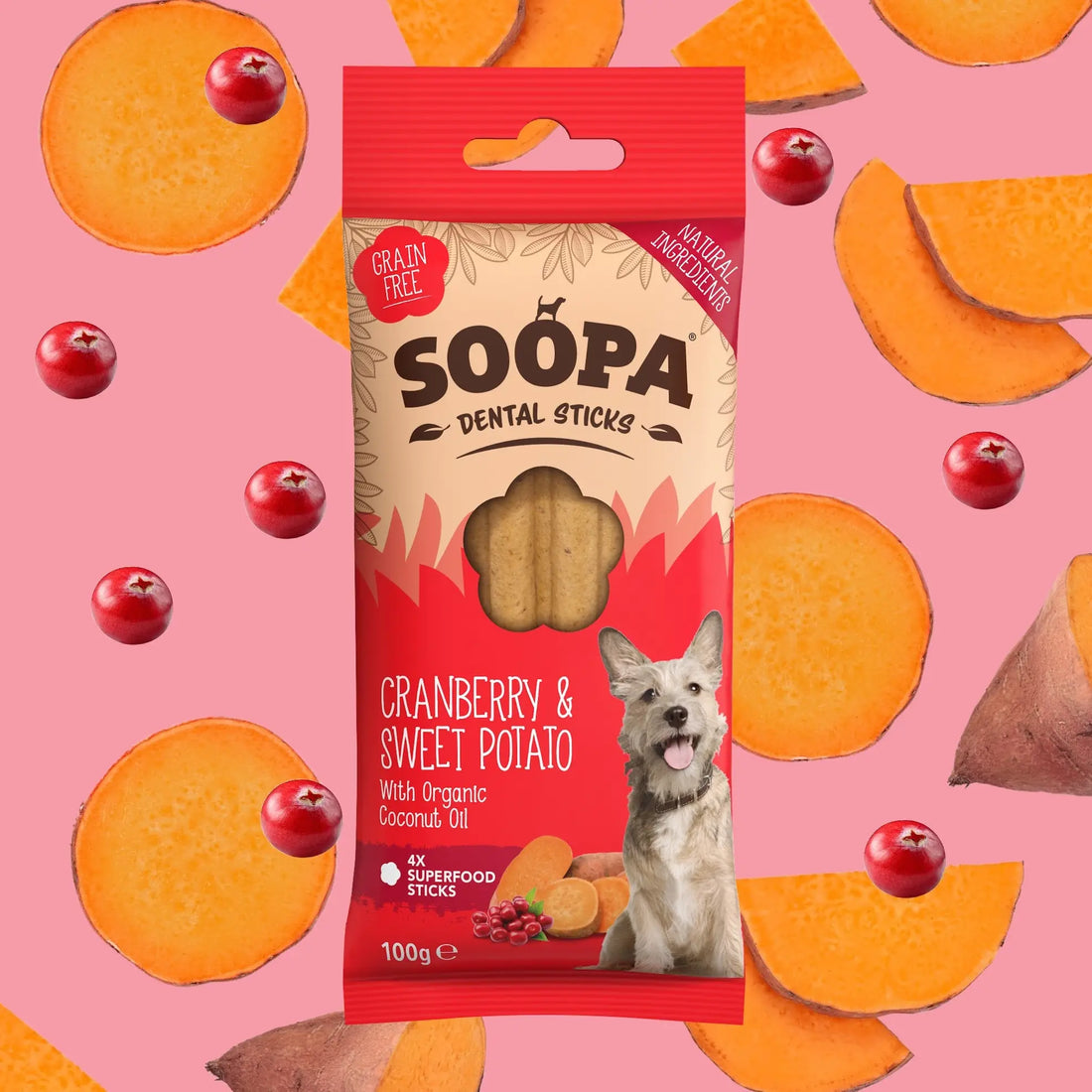 Package of Soopa Dental Sticks for dogs with cranberry and sweet potato on a pink background with dog treats.
