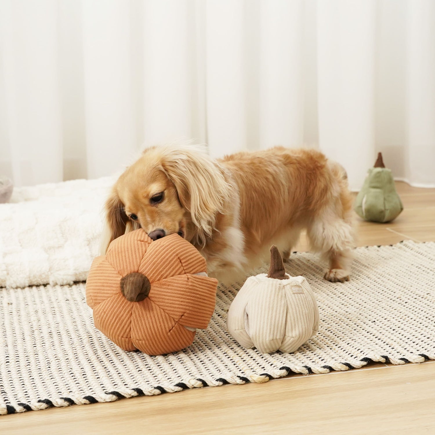 Cinderella Pumpkin - Interactive Snuffle &amp; Burrow Dog Toy - Share Happy Outfits