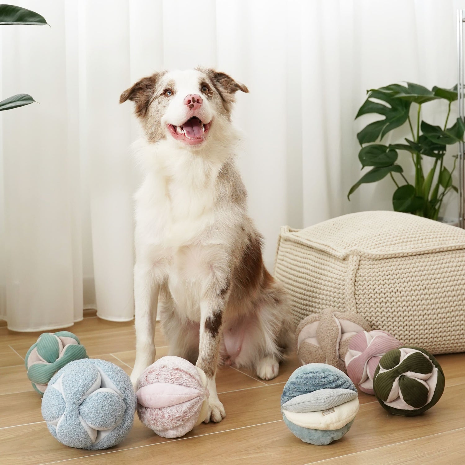 Monti Blush – Montessori Snuffle Ball for Dogs