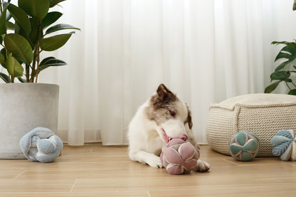 Monti – Montessori Snuffle Ball for Dogs - Share Happy Outfits