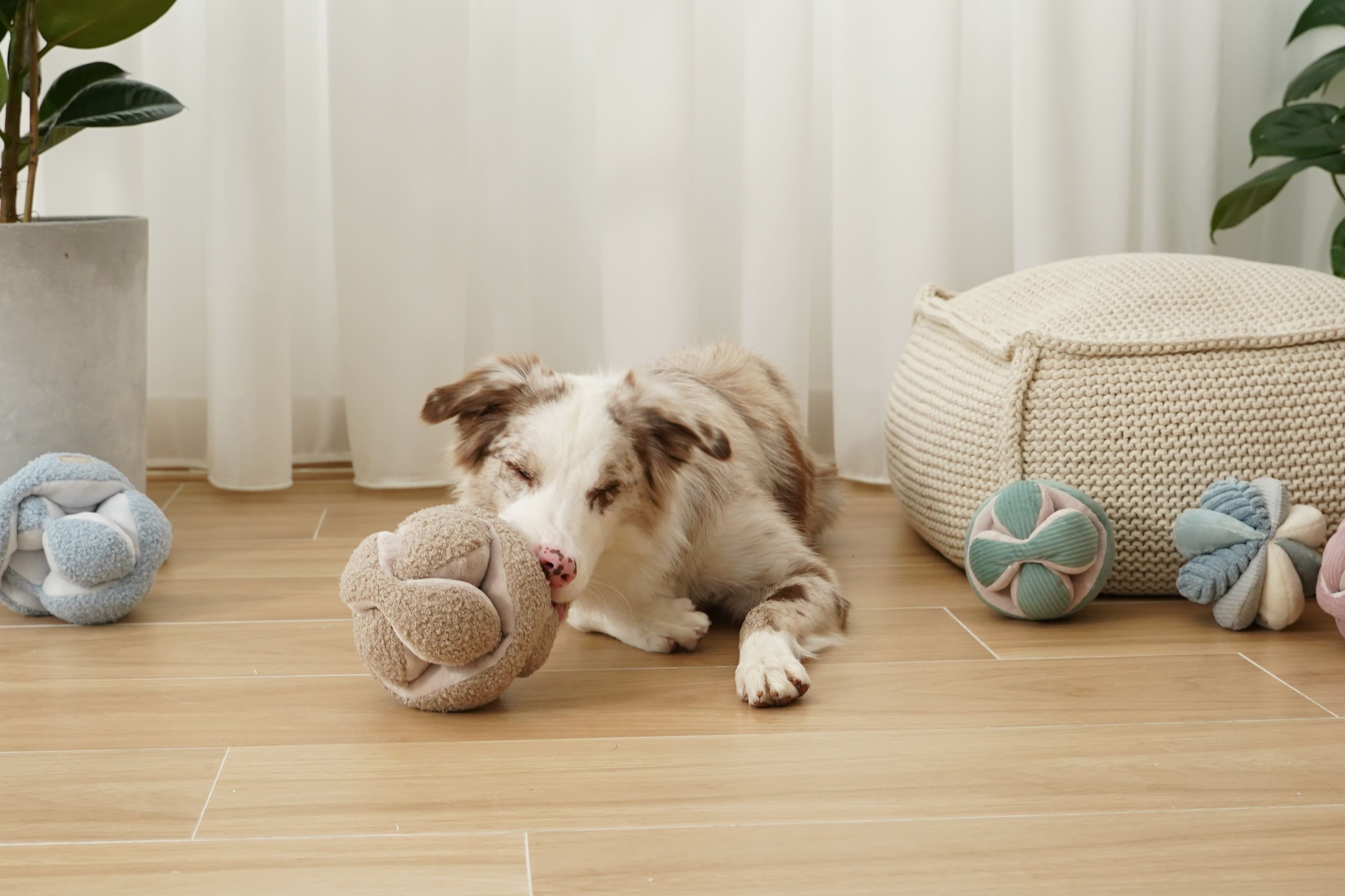 Monti – Montessori Snuffle Ball for Dogs - Share Happy Outfits