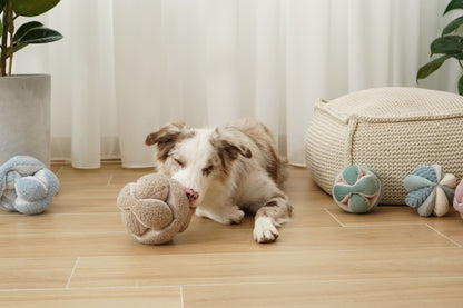 Monti – Montessori Snuffle Ball for Dogs - Share Happy Outfits