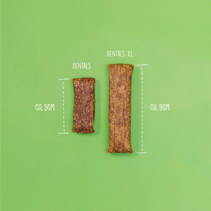 Dentals XL – Extra-Long Dental Chews with Tapioca &amp; Beetroot - Tooth Care