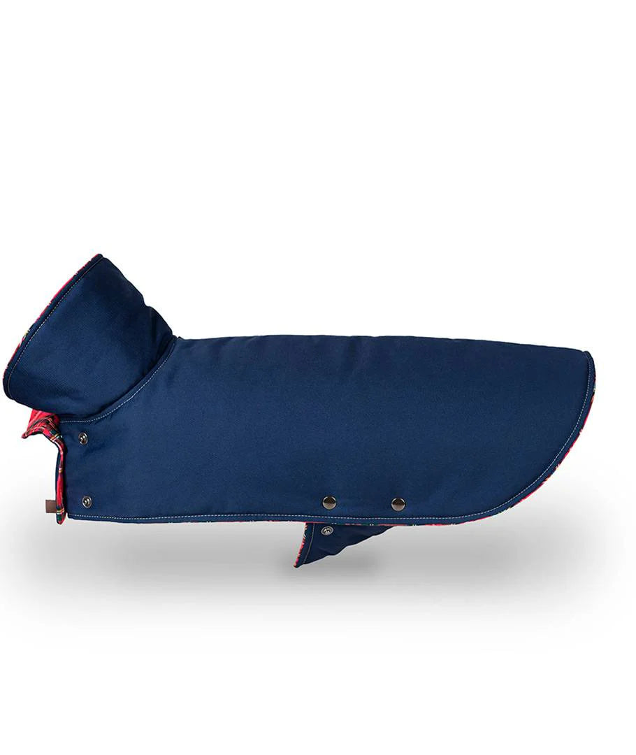 Navy Dog Coat – Water-Repellent Gabardine with Tartan Tremp Lining