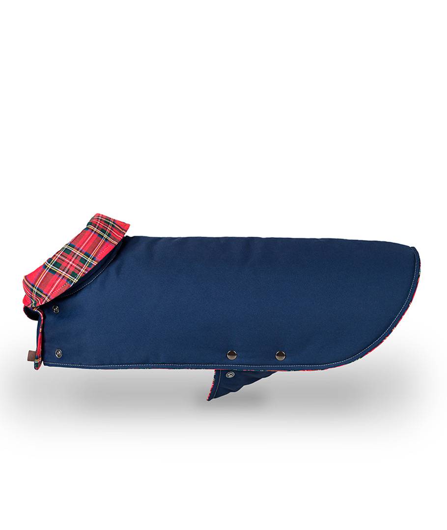 Navy Dog Coat – Water-Repellent Gabardine with Tartan Tremp Lining