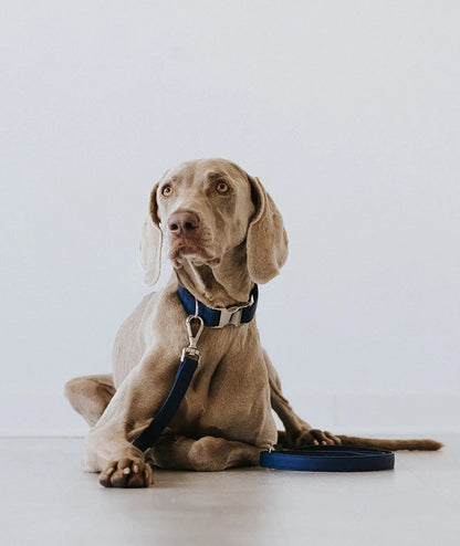 Essence Space Blue Silver Dog Collar – Handmade Vegan Leather