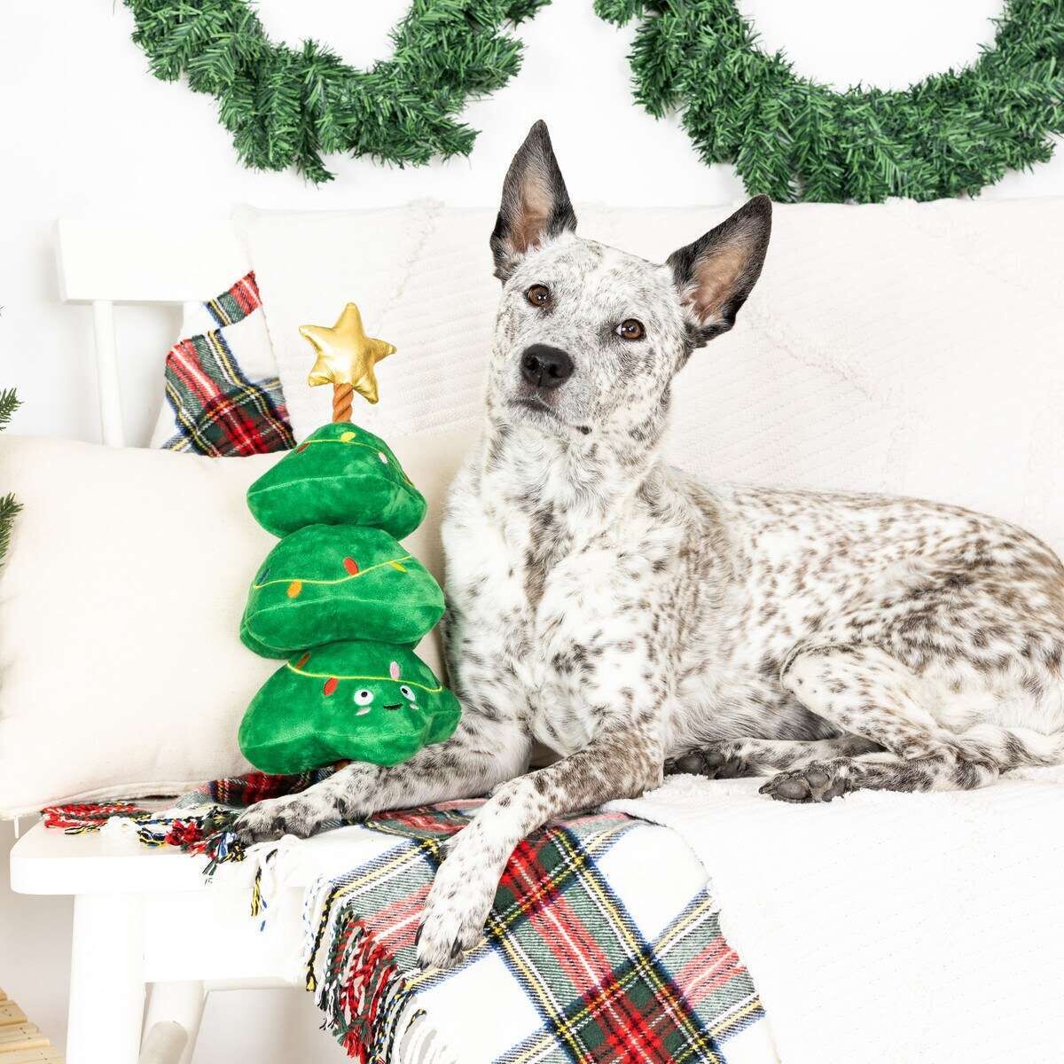 Fringe Studio Light Me Up - Christmas Tug &amp; Squeaky Dog Toy