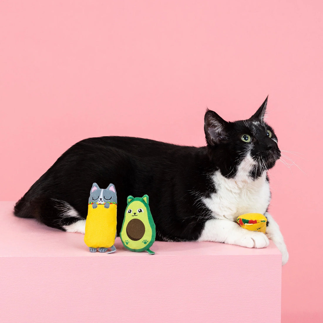 Fringe Studio Kitty Cravings – 3-Piece Mini Cat Toy Set - Share Happy Outfits