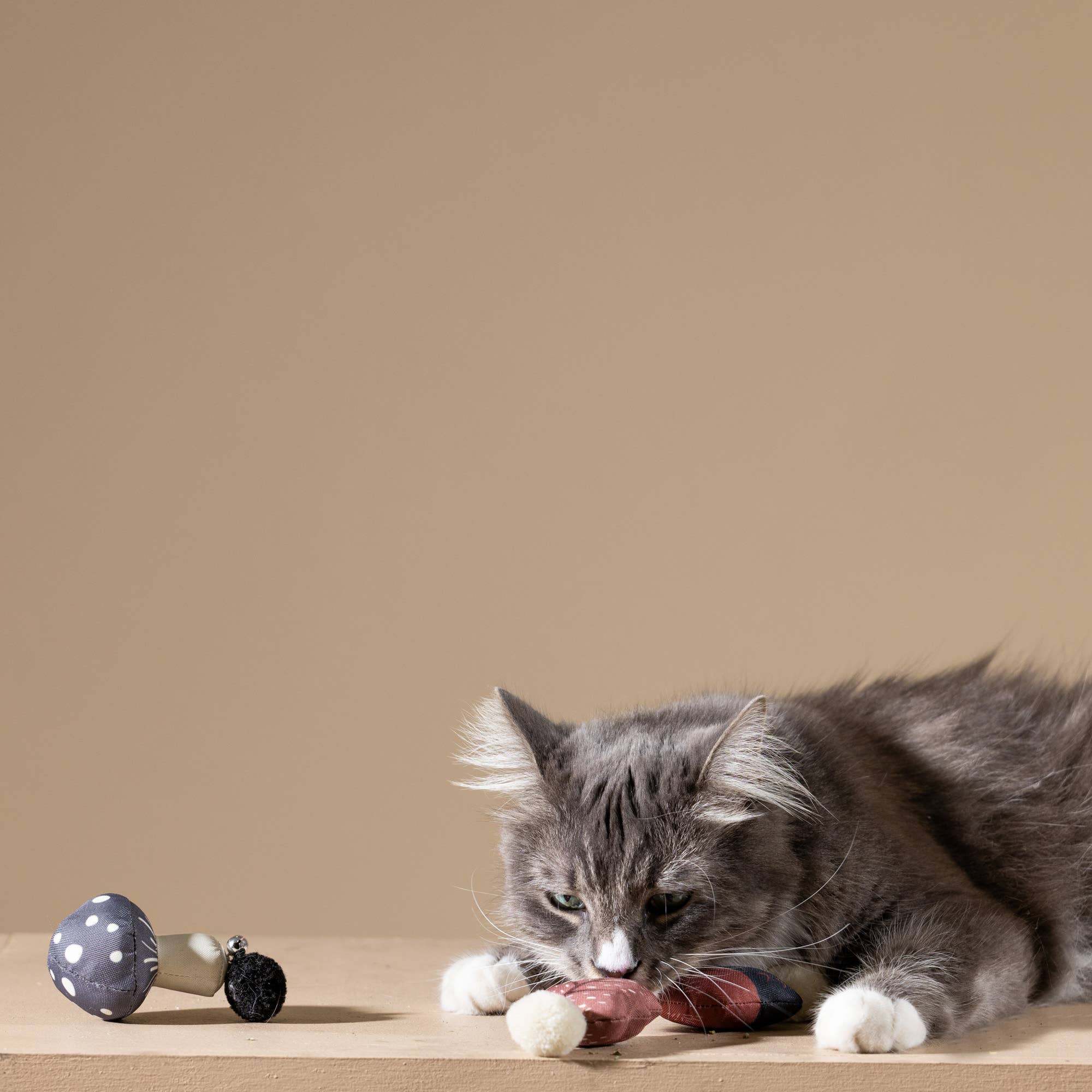 Fringe CANVAS MINI CAT TOY SET  FOREST FINDS - Share Happy Outfits