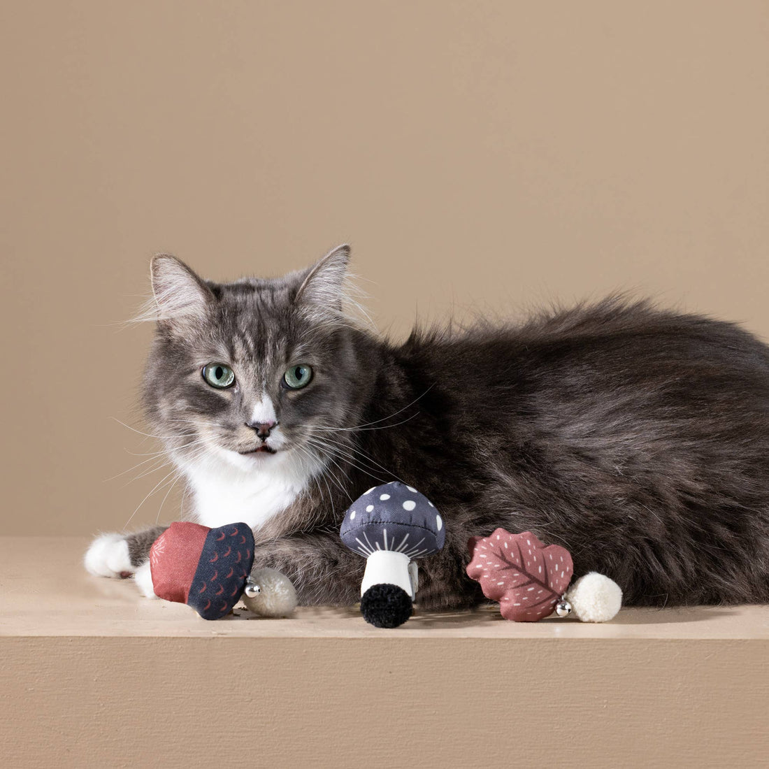 Fringe CANVAS MINI CAT TOY SET  FOREST FINDS - Share Happy Outfits
