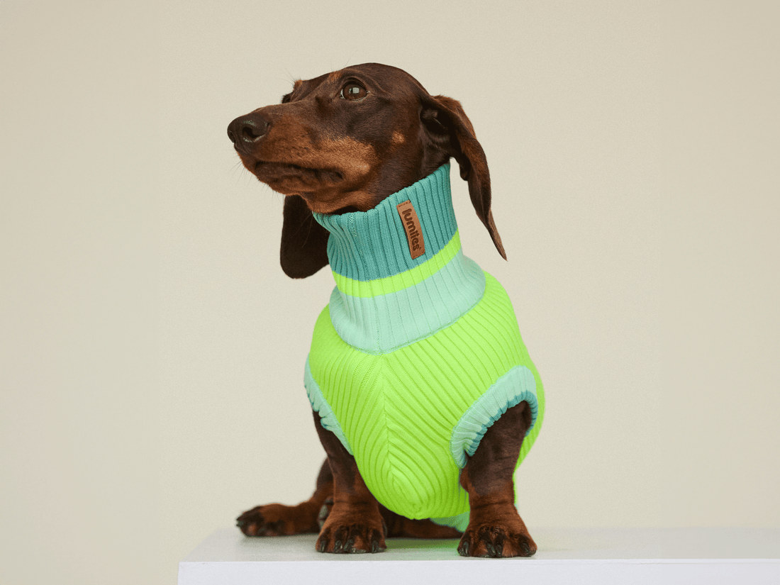 Neon Matcha  – The Glow Jumper - Share Happy Outfits