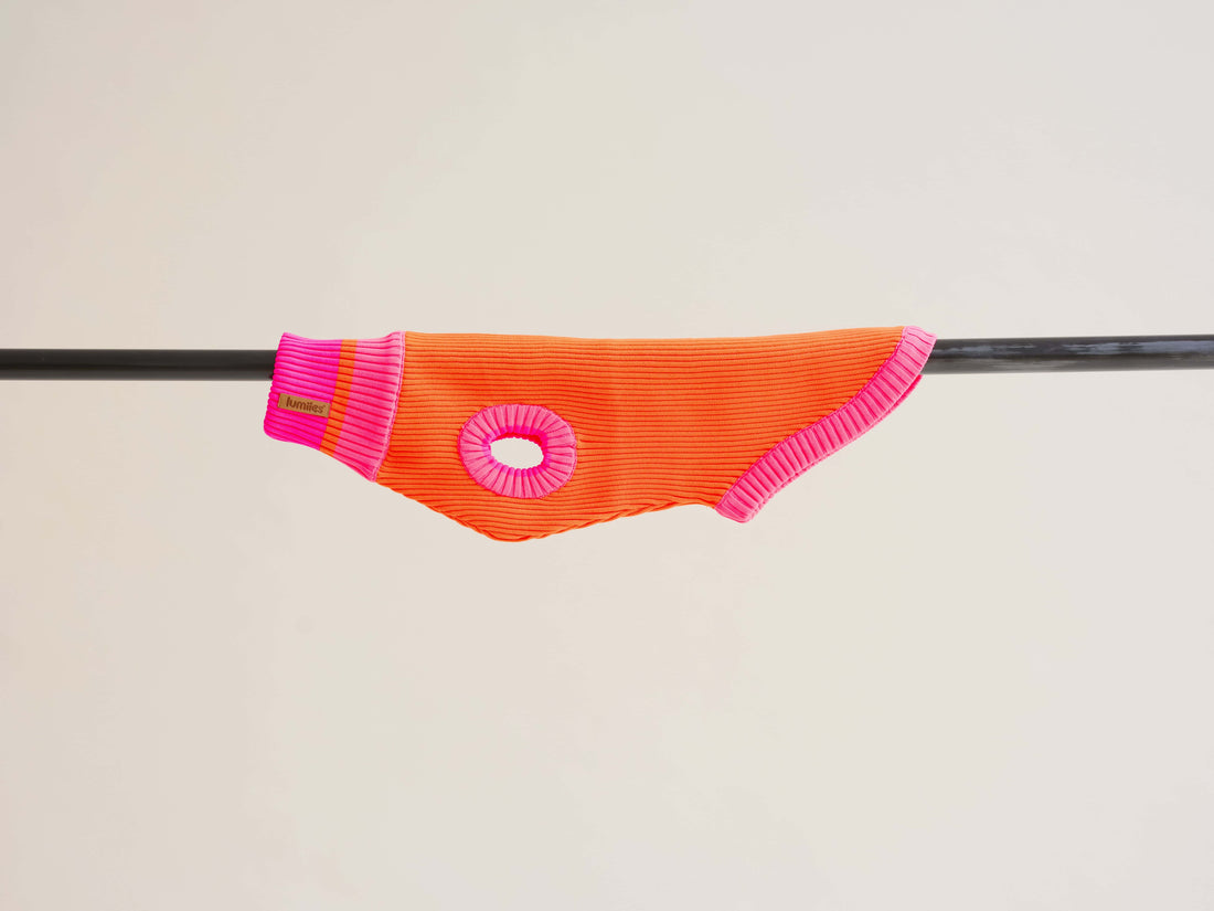 Orange and pink doggy jumper on a beige background