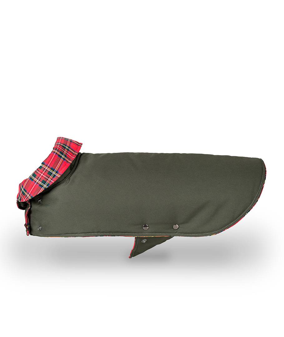 Green Dog Coat – Water-Repellent Gabardine with Tartan Tremp Lining
