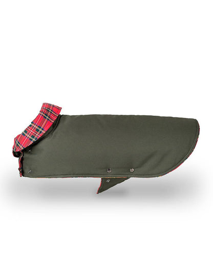 Green Dog Coat – Water-Repellent Gabardine with Tartan Tremp Lining