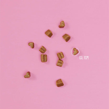 VEGDOG MOBILITIES MINIS – Vegan gewrichtsondersteunende trainingssnacks