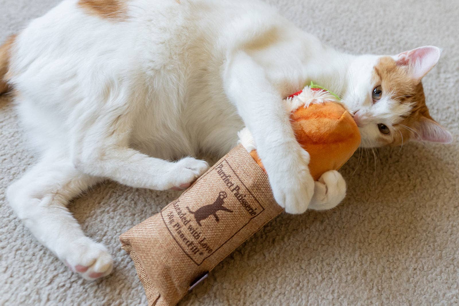 P.L.A.Y Feline Frenzy Tuna Baguette Kicker Toy - Share Happy Outfits