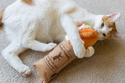 P.L.A.Y Feline Frenzy Tuna Baguette Kicker Toy - Share Happy Outfits
