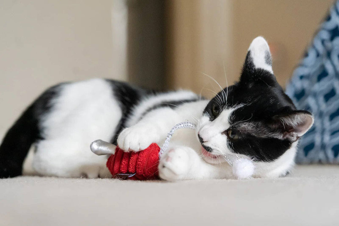 P.L.A.Y Feline Frenzy Twice As Mice Toy Set - Share Happy Outfits