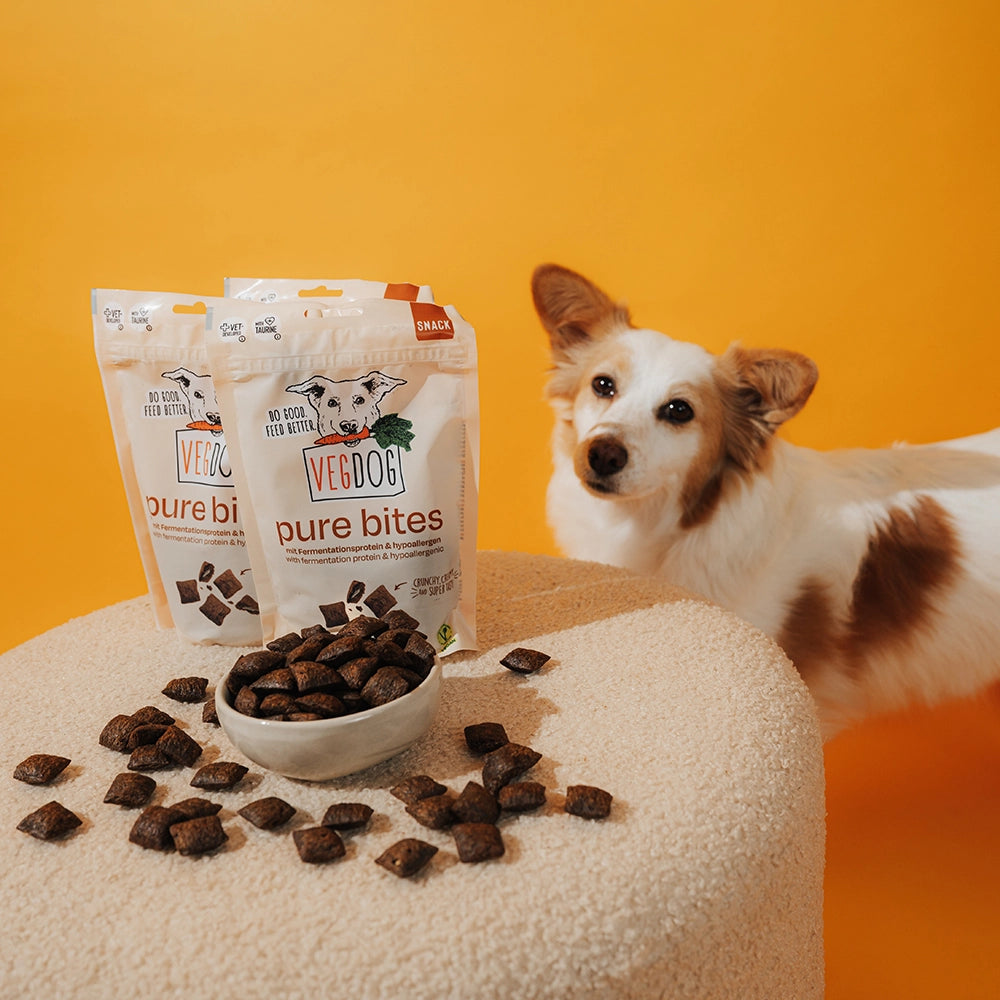 Dog with VEGDOG pure bites on a yellow background