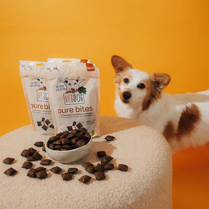 Dog with VEGDOG pure bites on a yellow background