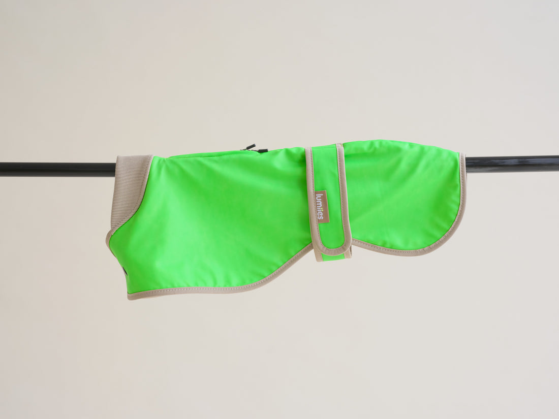 The Glow Raincoat - Green - Regular Fit - Share Happy Outfits