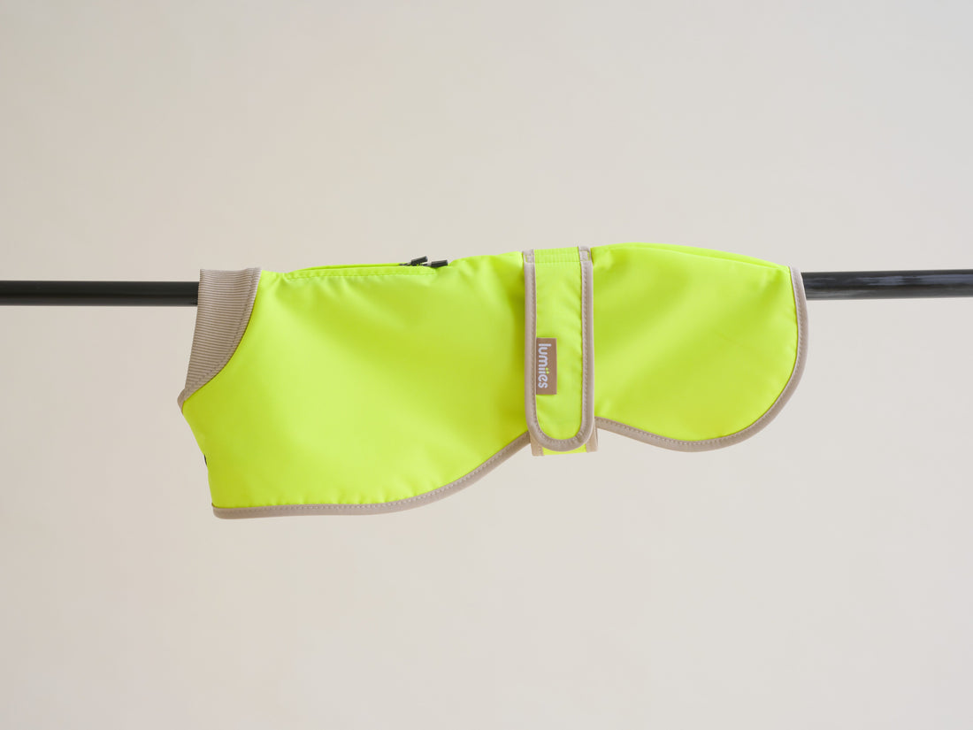 The Glow Raincoat - Yellow - Regular Fit - Share Happy Outfits