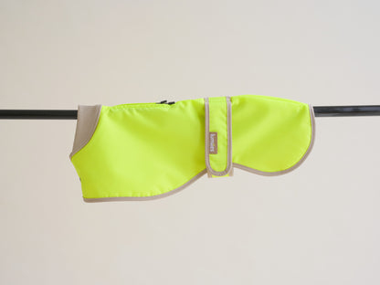 The Glow Raincoat - Yellow - Regular Fit - Share Happy Outfits