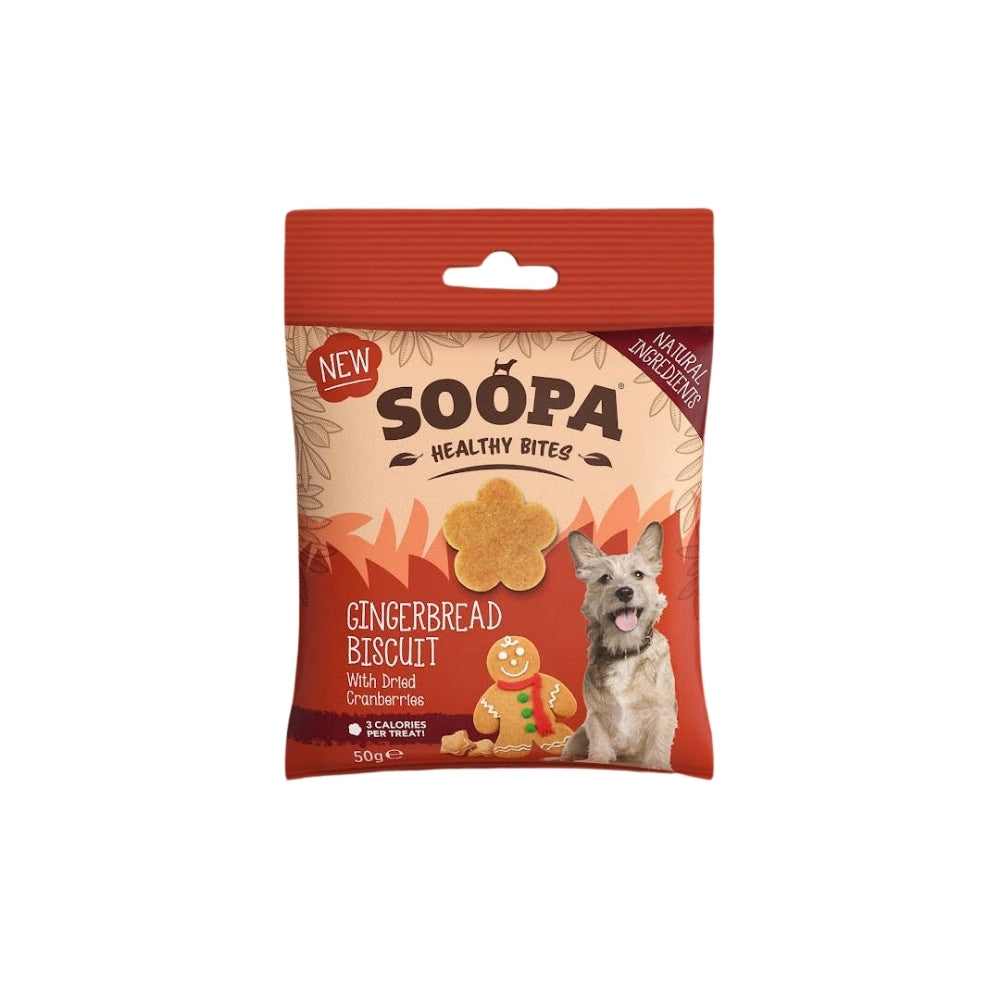 Natural Vegan Gingerbread Biscuit Healthy Bites - Share Happy Outfits