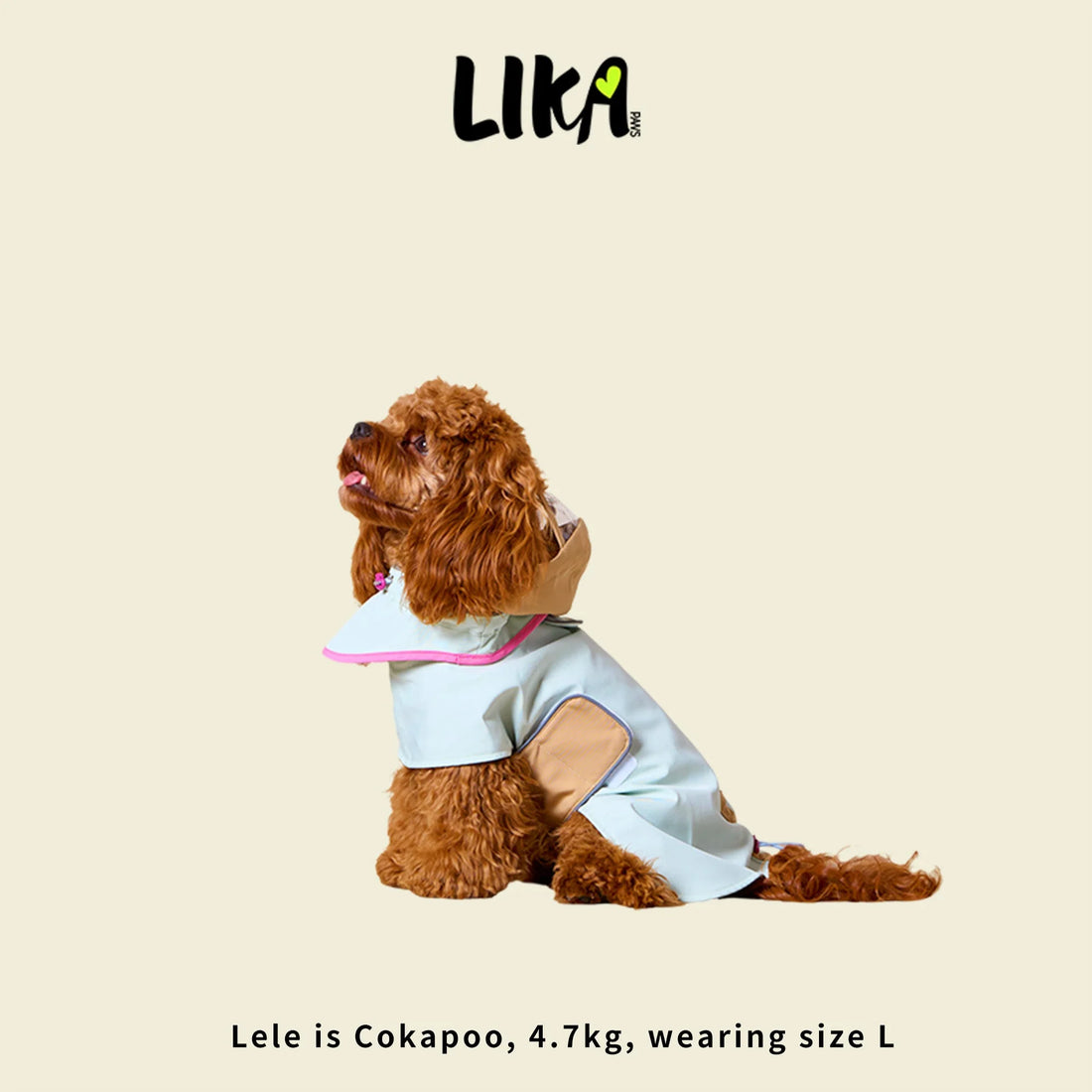 Waterproof Dog Raincoat – Sky Blue