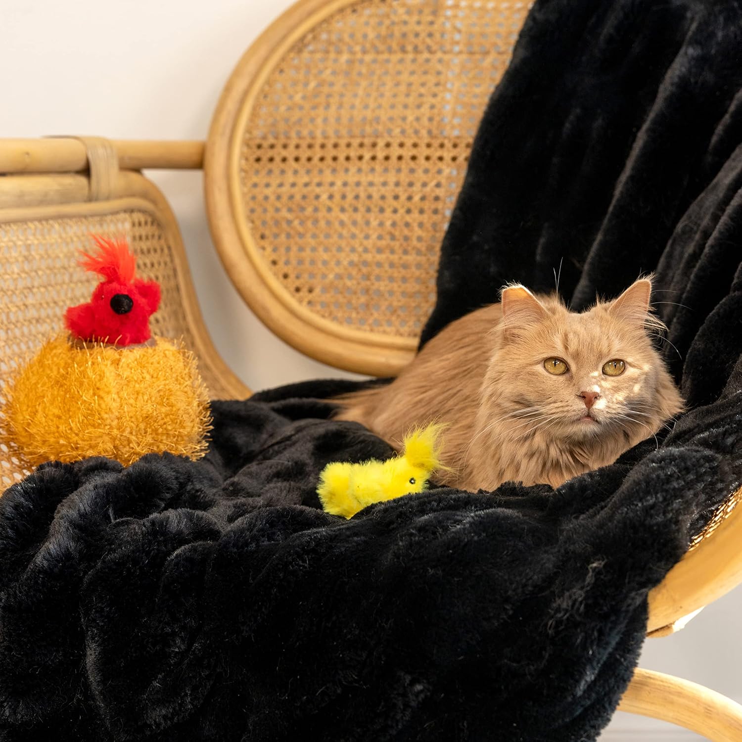 Birds In Nest – Interactive Catnip Puzzle Play - Share Happy Outfits