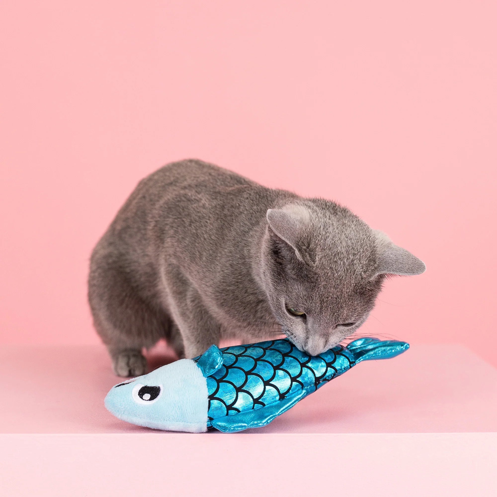 A Little Fishy Cat Toy - Catnip Kicker Toy for Interactive Play - Share Happy Outfits