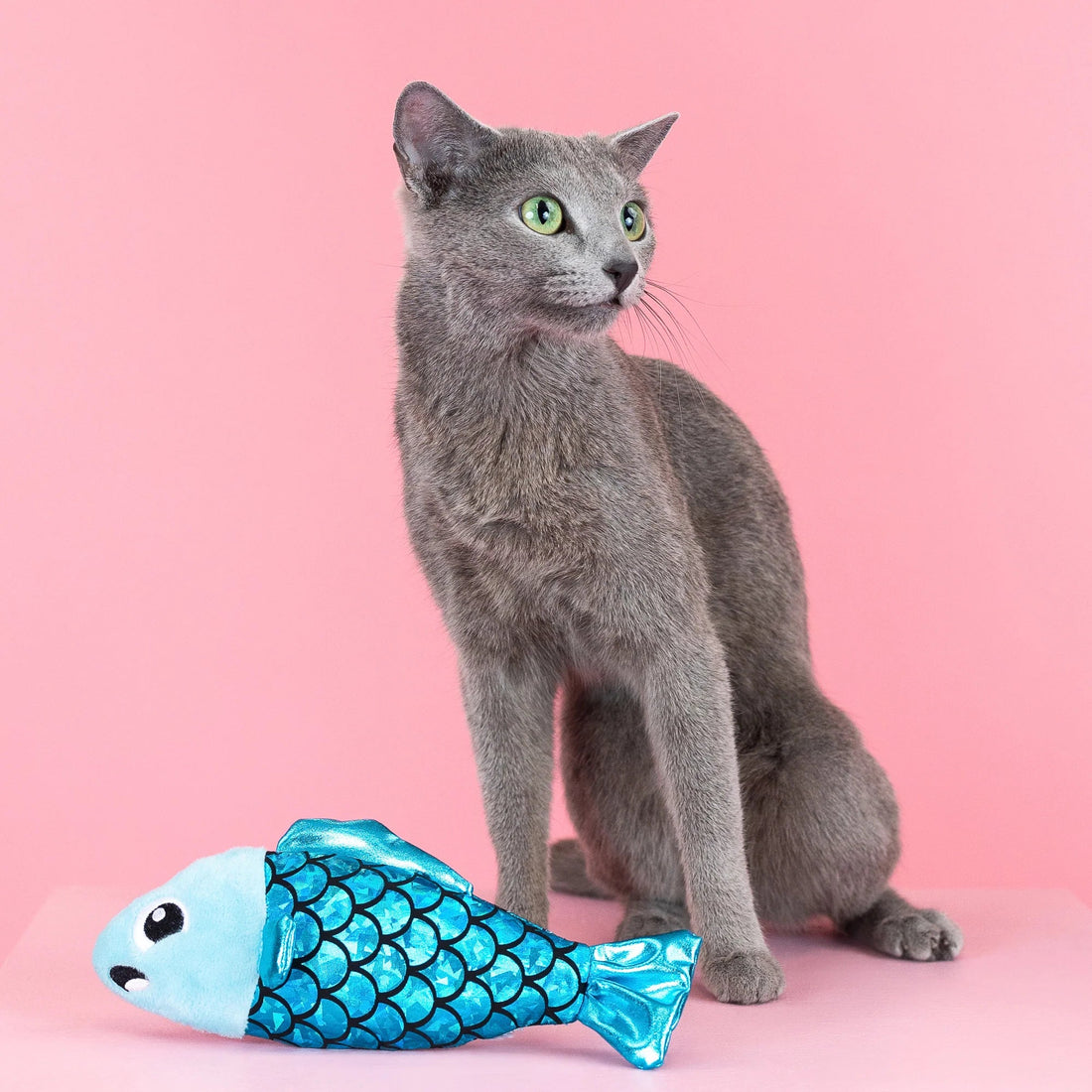 A Little Fishy Cat Toy - Catnip Kicker Toy for Interactive Play - Share Happy Outfits