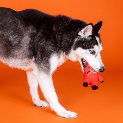 Fringe A LITTLE HOTHEADED LATEX DOG TOY - Share Happy Outfits
