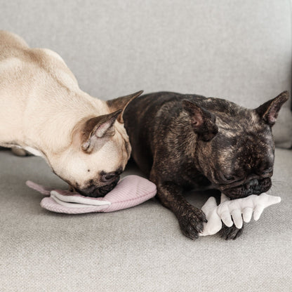 Angel Fish – 2-in-1 Burrow &amp; Snuffle Dog Toy - Share Happy Outfits