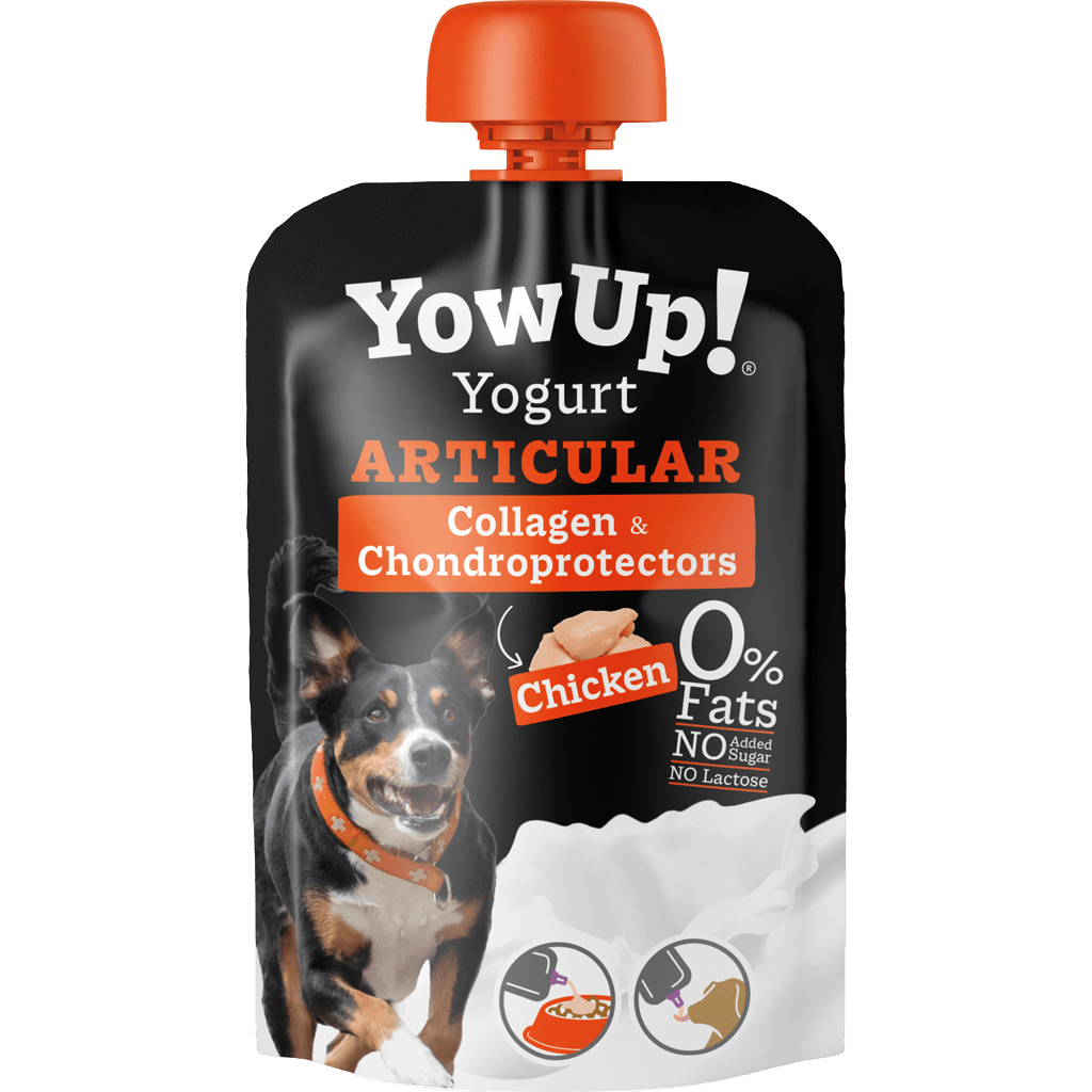 YowUp! Yogurt Articular for dogs with a black background