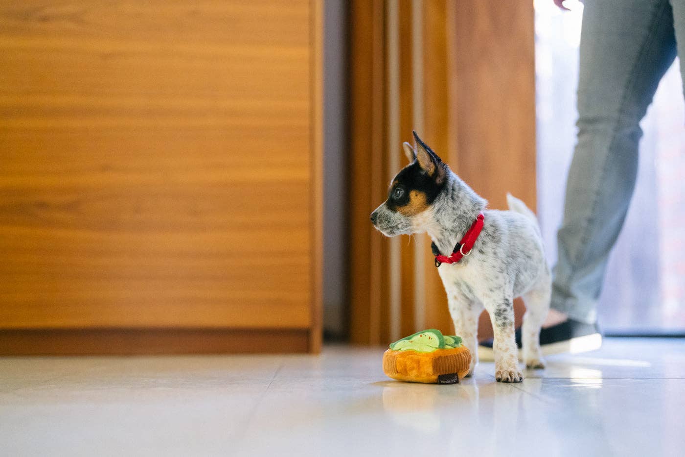 P.L.A.Y Barking Brunch Avo-doggo Toast: M - Share Happy Outfits