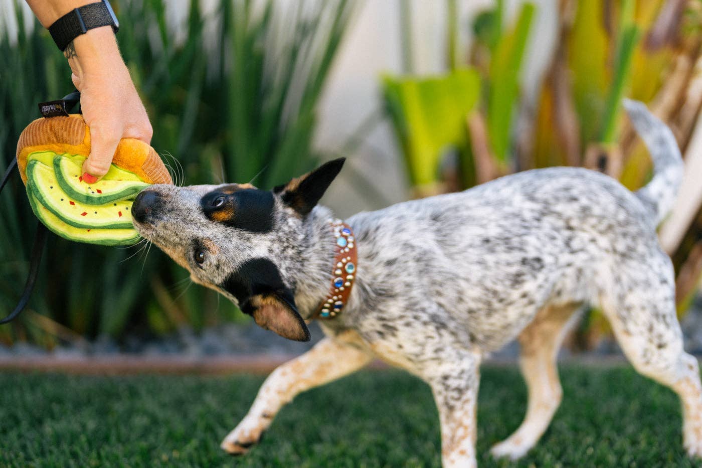 P.L.A.Y Barking Brunch Avo-doggo Toast: M - Share Happy Outfits